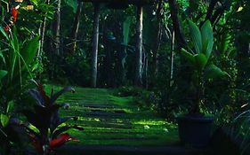 bucu hidden guest house